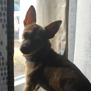 Meet your Posher, Brian